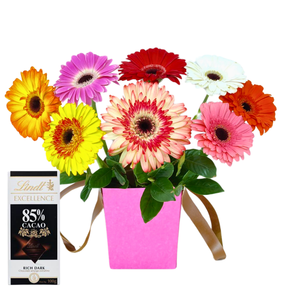 Arranjo de Gerberas Coloridas com Chocolate Lindt 85%